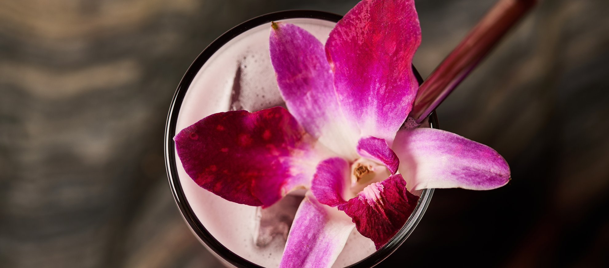 Chicago fizz - web size